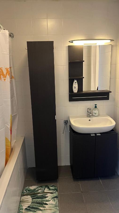 Duplex Tres Agreable Et Tres Calme Apartment Брюксел Екстериор снимка